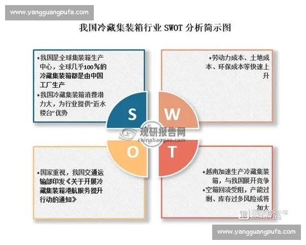 足球行业前景分析与全球市场发展趋势展望研究及未来投资机遇与挑战