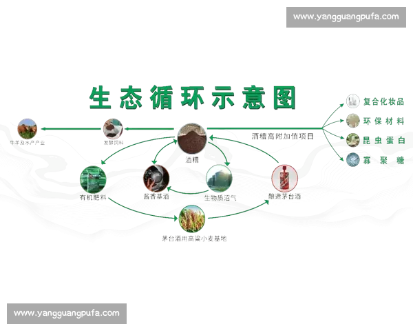 以绿色发展为引领推动企业履行环境责任助力可持续经济增长 以绿色发展为引领推动企业履行环境责任助力可持续经济增长